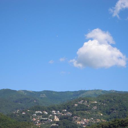 Genovese Villa Elena Appartamenti Varazze Εξωτερικό φωτογραφία