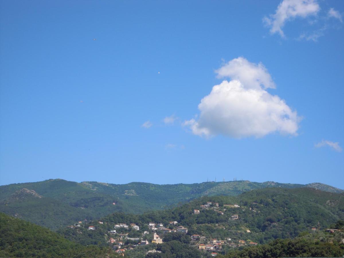 Genovese Villa Elena Appartamenti Varazze Εξωτερικό φωτογραφία